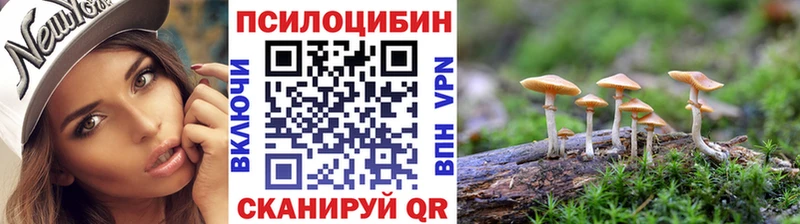 Псилоцибиновые грибы Psilocybe Североморск